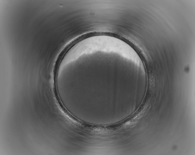 X0000097630935200803211806