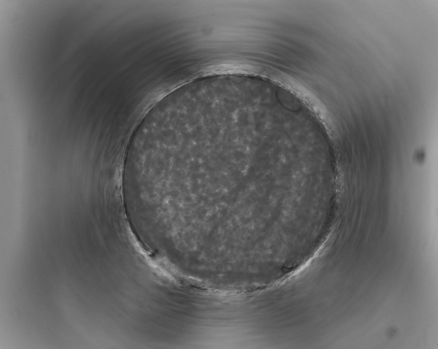 X0000097630937200803211806