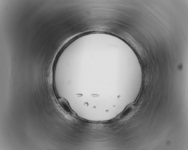 X0000097630940200803211806