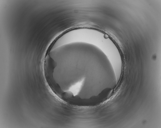 X0000097630941200803211806