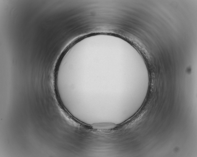 X0000097630942200803211806