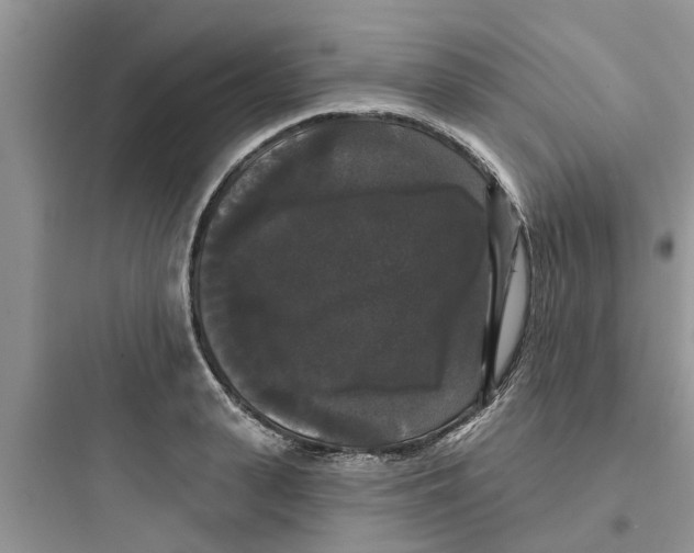 X0000097630943200803211806