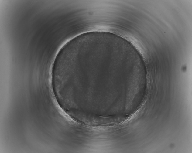 X0000097630944200803211806