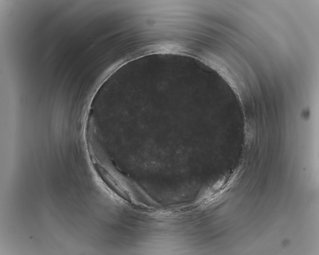 X0000097630946200803211806