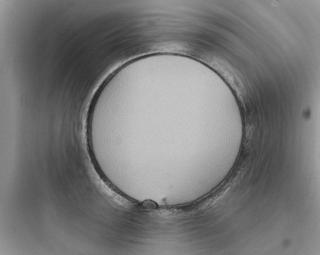 X0000097630947200803211806