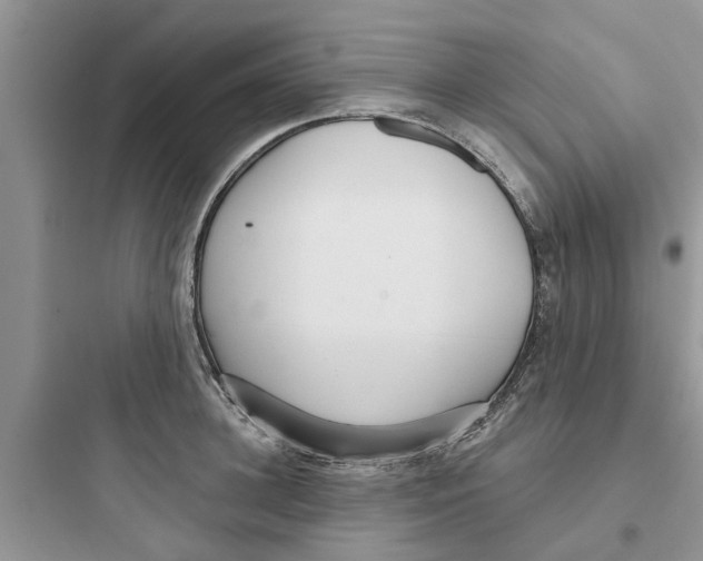 X0000097630948200803211806