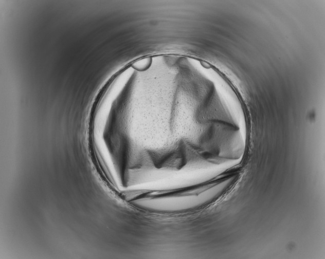 X0000097630949200803211806