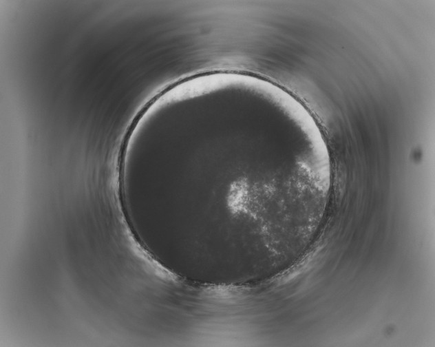 X0000097630950200803211806