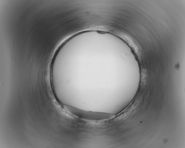 X0000097630952200803211806