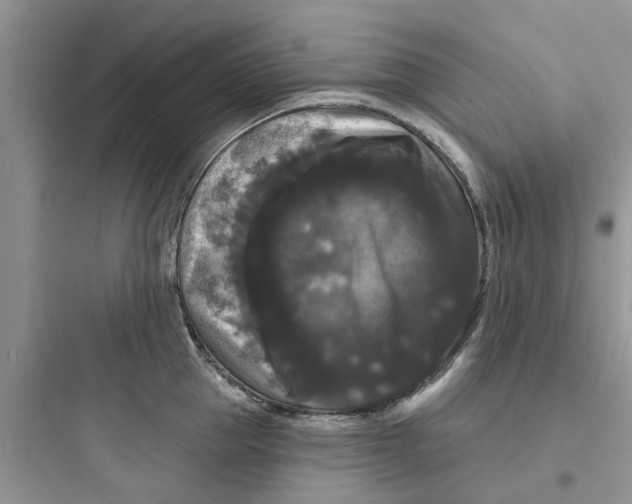 X0000097630953200803211806