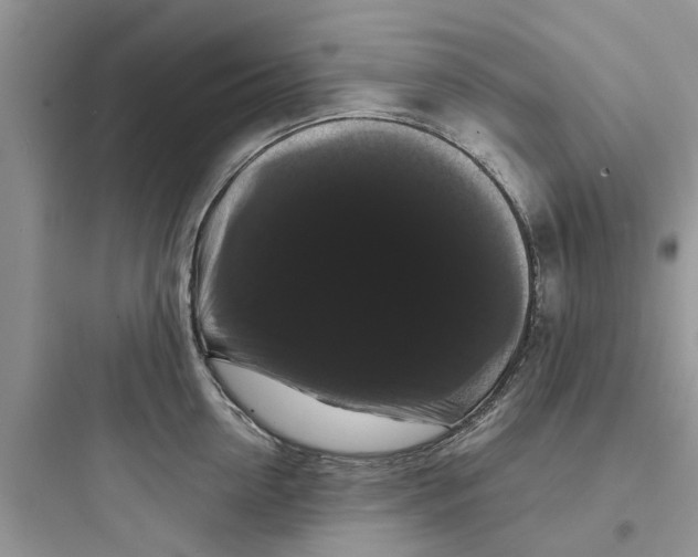 X0000097630954200803211806