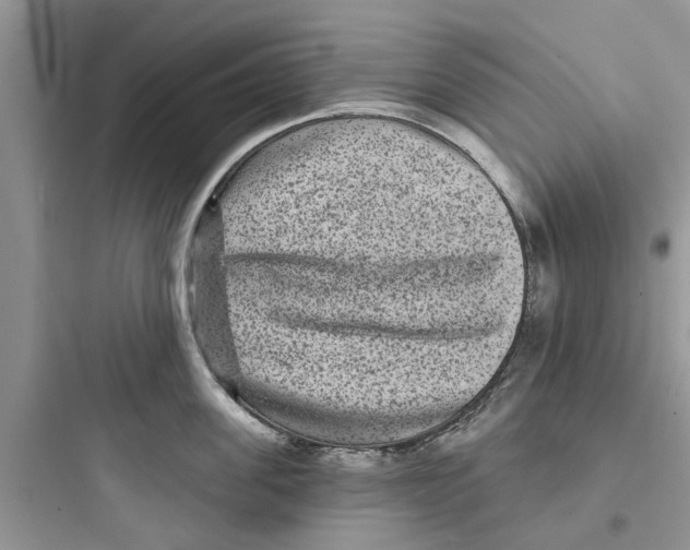 X0000097630955200803211806