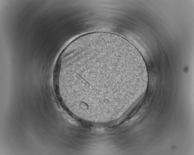 X0000097630956200803211806