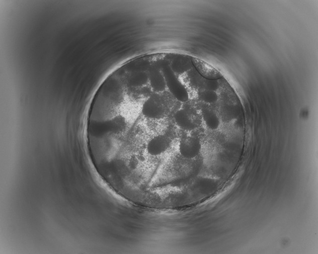 X0000097630957200803211806