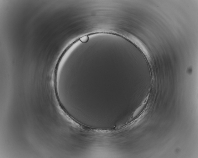 X0000097630958200803211806