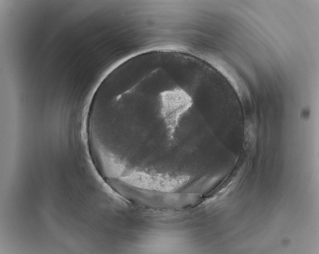 X0000097630959200803211806