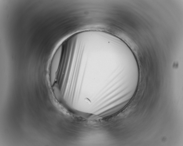 X0000097630960200803211806