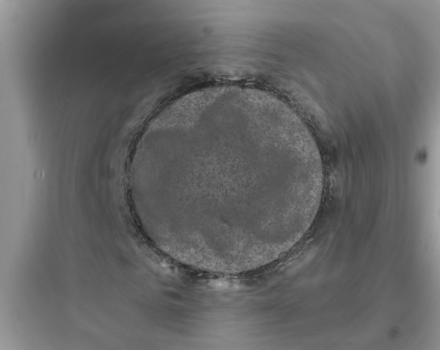 X0000097630961200803211806