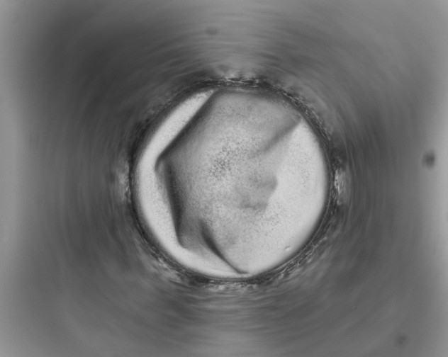 X0000097630963200803211806