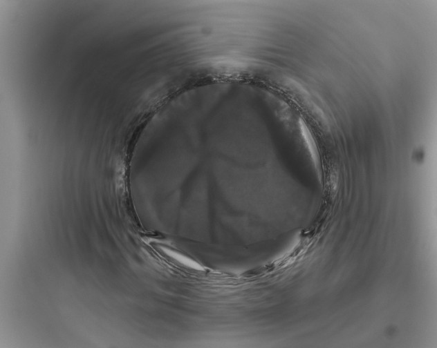 X0000097630964200803211806