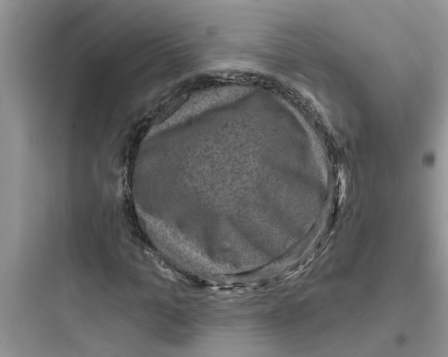 X0000097630965200803211806