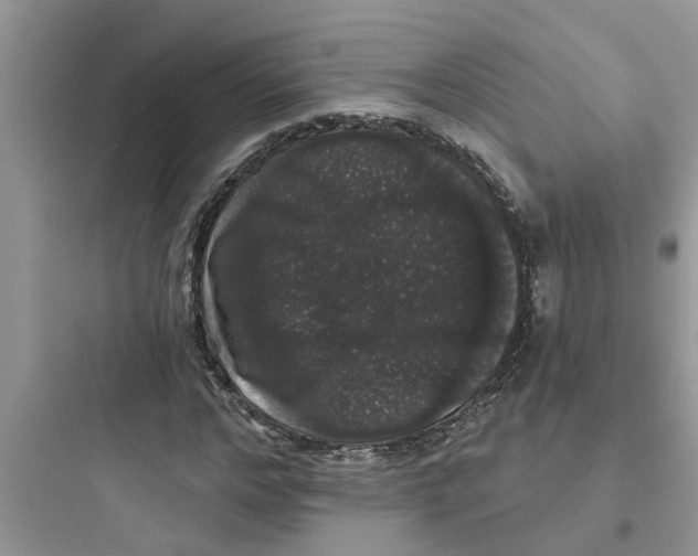 X0000097630968200803211806