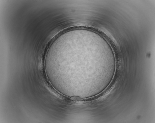 X0000097630969200803211806