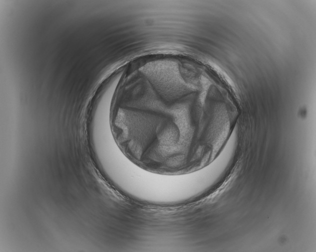 X0000097630970200803211806