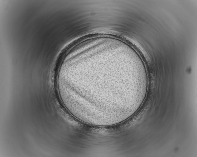 X0000097630971200803211806