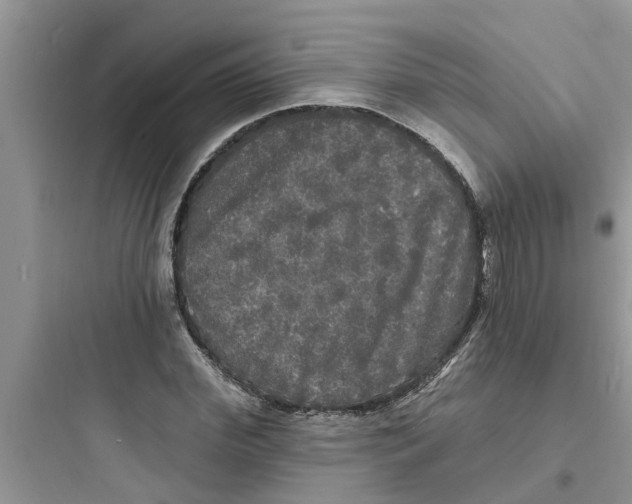 X0000097630972200803211806