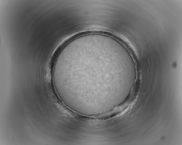 X0000097630973200803211806