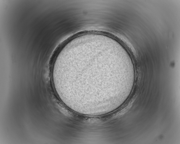 X0000097630974200803211805