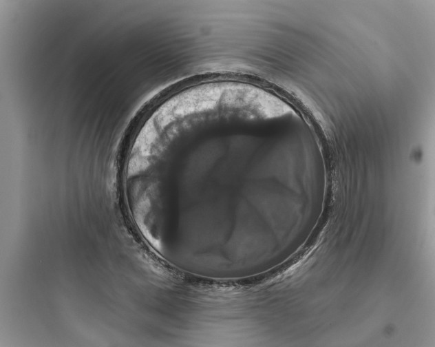 X0000097630975200803211805