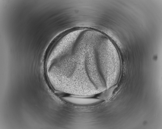 X0000097630976200803211805