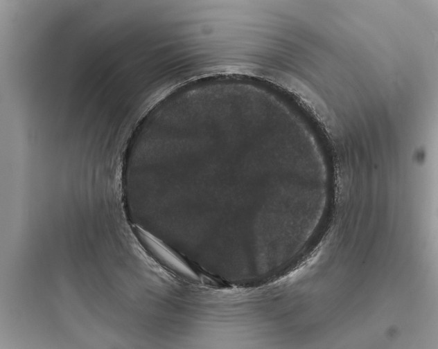 X0000097630977200803211805