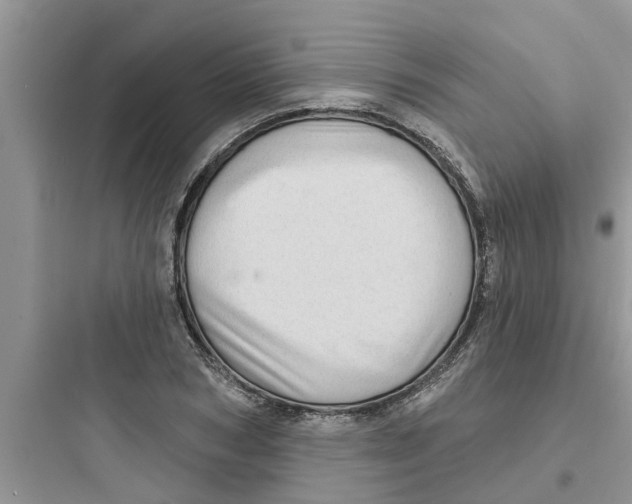 X0000097630978200803211805