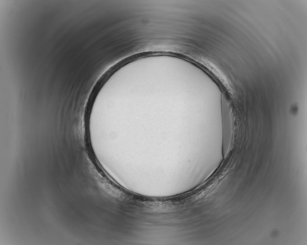 X0000097630980200803211805