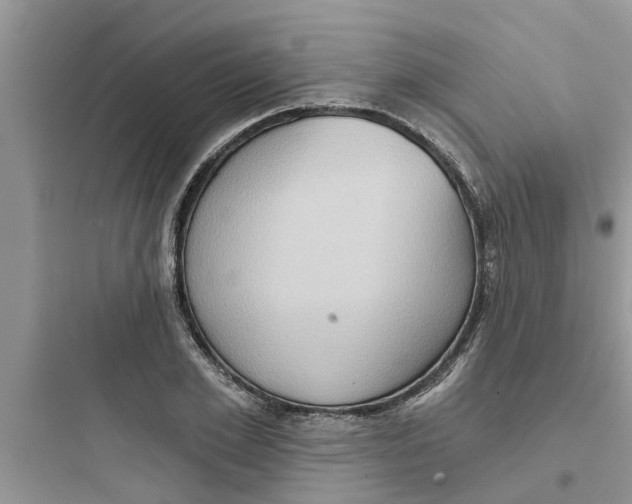 X0000097630981200803211805