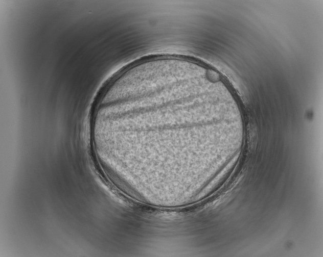 X0000097630982200803211805