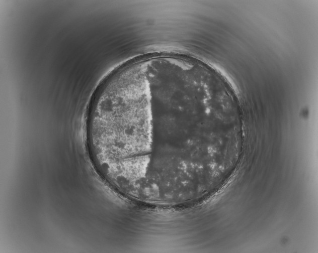 X0000097630983200803211805