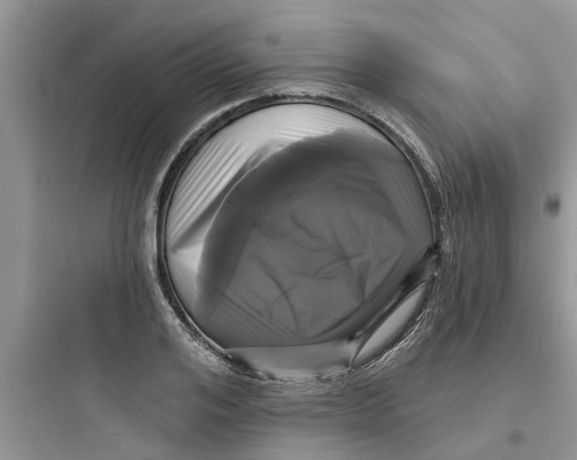 X0000097630984200803211805