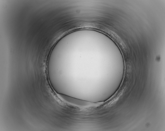 X0000097630985200803211805