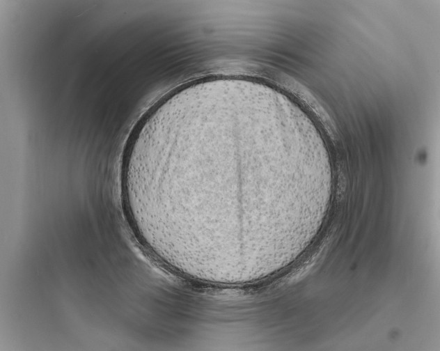 X0000097630986200803211805