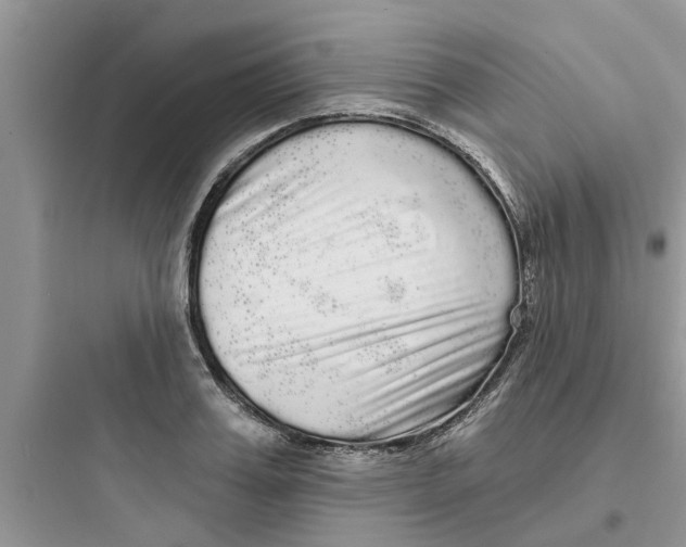 X0000097630987200803211805