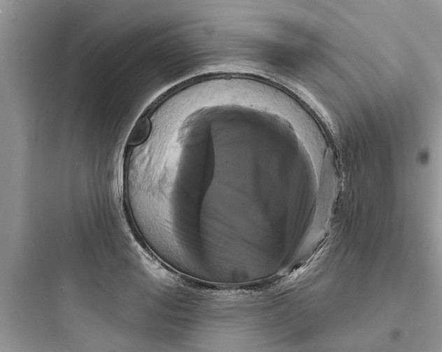 X0000097630988200803211805