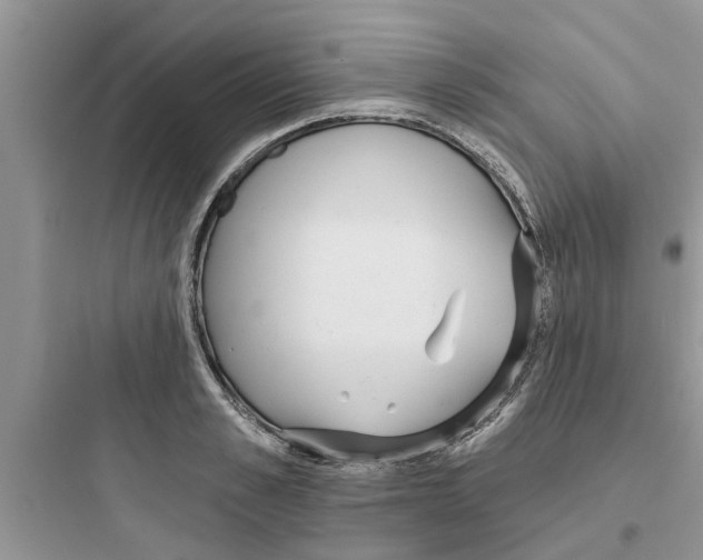 X0000097630989200803211805