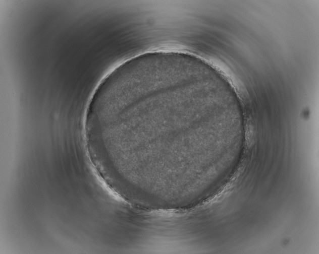 X0000097630990200803211805