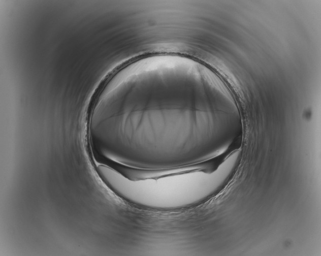 X0000097630992200803211805