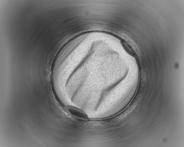 X0000097630993200803211805