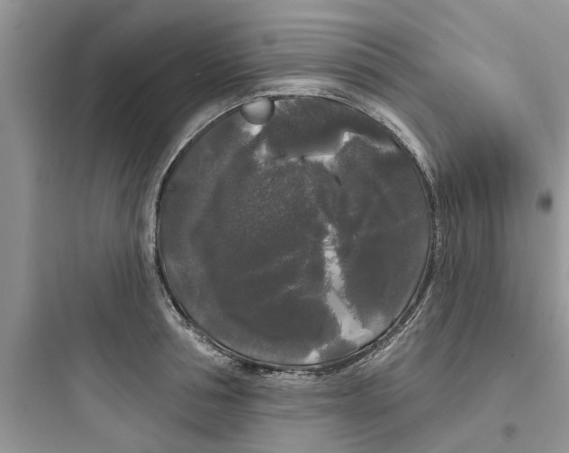 X0000097630994200803211805